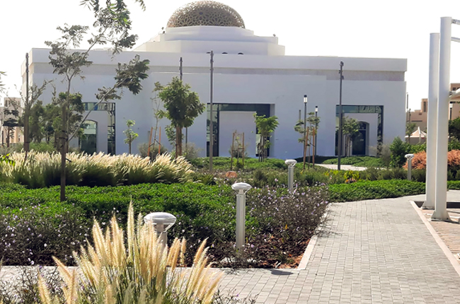 Mosque Path Lights Abu Dhabi