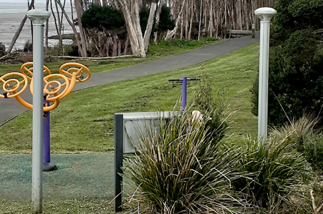 Playground Solar Overhead Lights