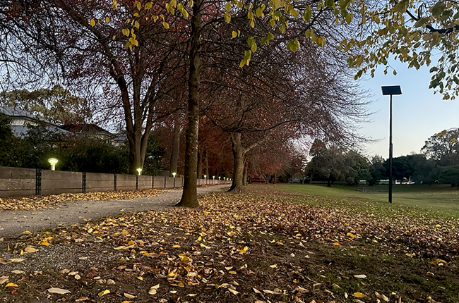 Solar Pathway Lights Powered by Solar Engine